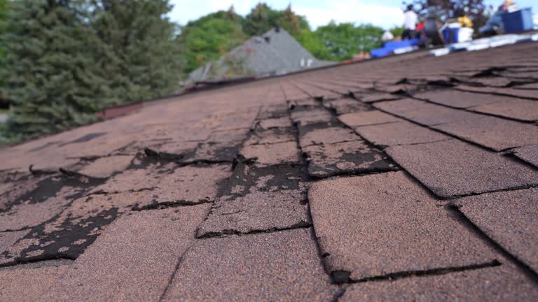 Best Commercial Roofing Services  in Altamont, TN